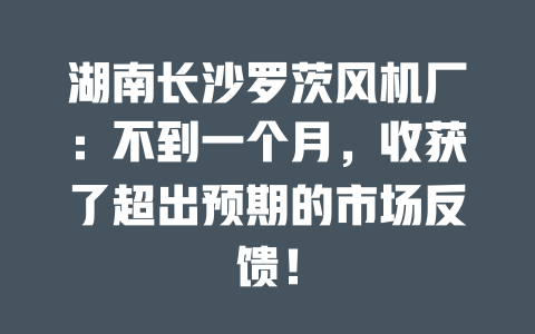 湖南長沙羅茨風機廠：不到一個月，收獲了超出預期的市場反饋！ 一