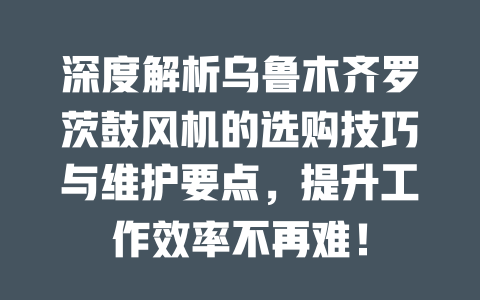 深度解析烏魯木齊羅茨鼓風機的選購技巧與維護要點，提升工作效率不再難！ 一