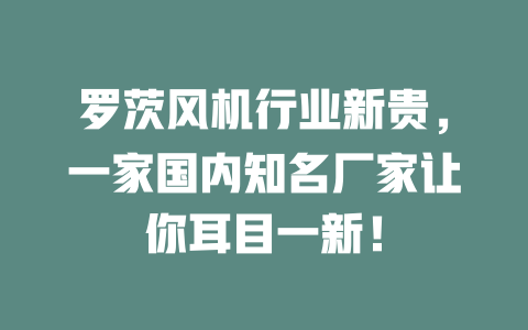 羅茨風機行業新貴,一家國內知名廠家讓你耳目一新! 一