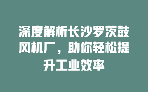 深度解析長沙羅茨鼓風機廠，助你輕松提升工業效率 一
