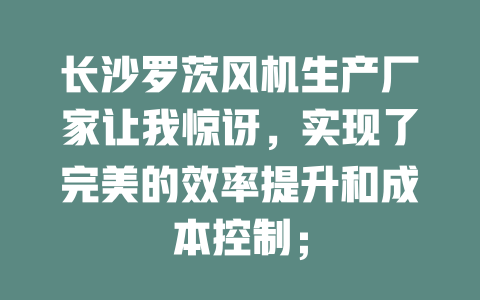 長沙羅茨風機生產廠家讓我驚訝,實現了完美的效率提升和成本控制; 一