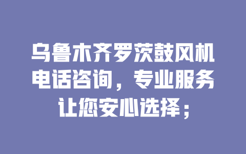 烏魯木齊羅茨鼓風(fēng)機(jī)電話咨詢,專業(yè)服務(wù)讓您安心選擇; 一