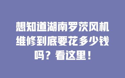 想知道湖南羅茨風機維修到底要花多少錢嗎？看這里！ 一