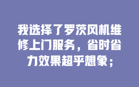 我選擇了羅茨風(fēng)機維修上門服務(wù)，省時省力效果超乎想象； 一